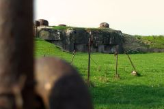50_haut_poirier