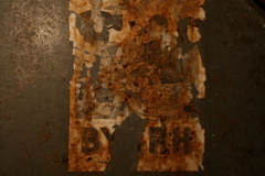 31