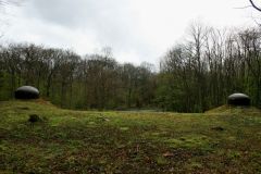 IMG_3798
