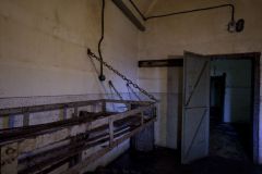 IMG_5143