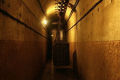IMG_1991