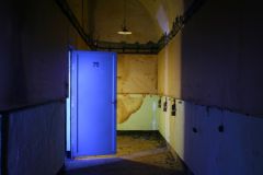 IMG_3593