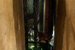 IMG_2120