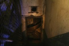 IMG_2125