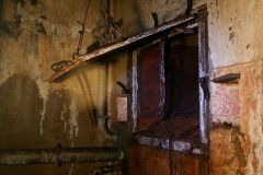 IMG_2151