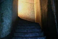 IMG_2153