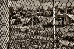 102_sas_wahner_heide