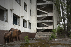 Tschernobyl_Chernobyl_060