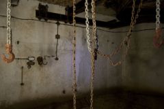 IMG_5029