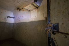 IMG_5042