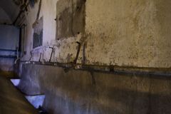 IMG_5114