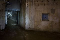 IMG_5163