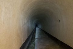 IMG_5794