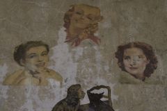 IMG_5823